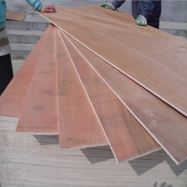 Comercial plywood -18mm wood veneer board quality eucalyptus plywood for stable stage furniture packaging - Image 6