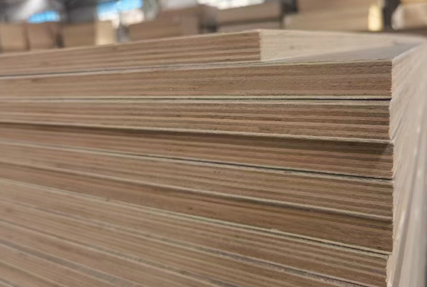 Comercial plywood -18mm wood veneer board quality eucalyptus plywood for stable stage furniture packaging - Image 3