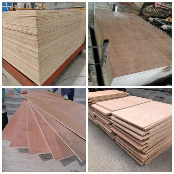 Wood veneer plywood : 5mm 12mm 18mm furniture grade packing plywood sturdy not bad - Image 4